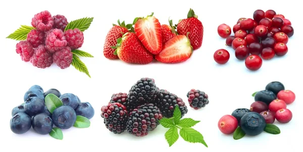 Collection of berries — Stock Photo, Image