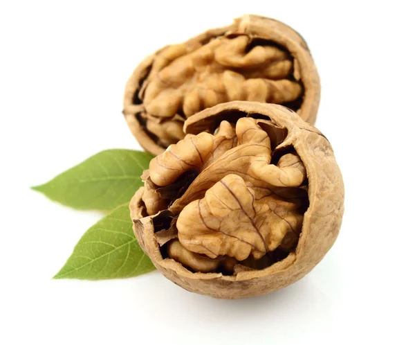Sušené ořechy listové — Stock fotografie