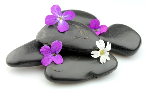 Kamienie z kwiatami — Zdjęcie stockowe