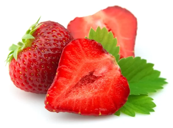 Erdbeere mit Leben — Stockfoto