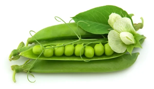Young peas — Stock Photo, Image