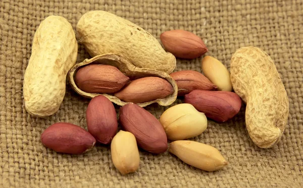 Fried peanut on a tissue — Stock Photo, Image