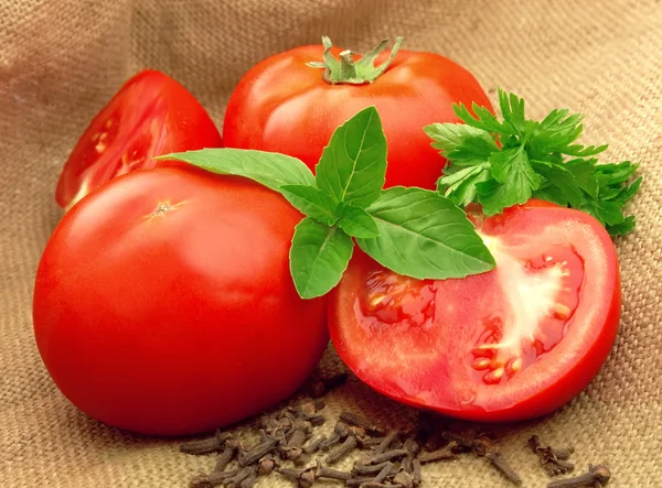 Tomaten mit Gewürz — Stockfoto