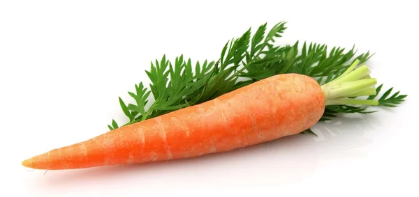 Karotten mit Blatt — Stockfoto
