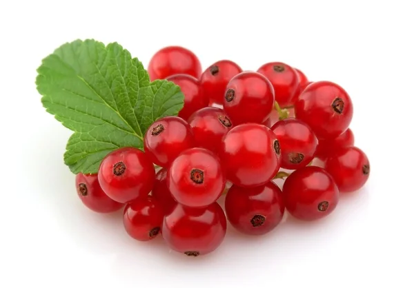 Sweet red currants — Stock Photo, Image