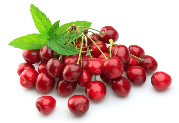 Cherry bij muntblad — Stockfoto