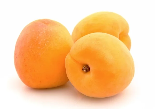 Спелый абрикос — стоковое фото