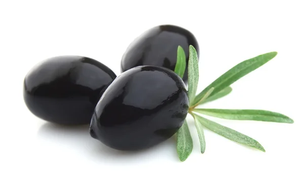 Olivy s větví — Stock fotografie