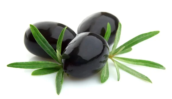 Солодкий оливки — стокове фото
