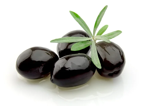 Olivový s olivovým olejem — Stock fotografie