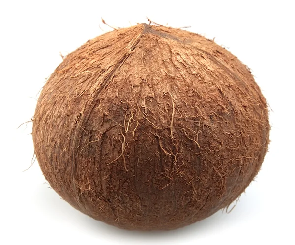 Coco nut — Stockfoto