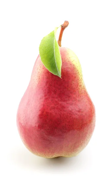 Päron med ett blad — 图库照片