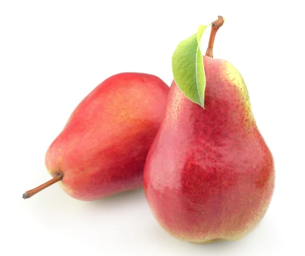 Päron med ett blad — Stockfoto