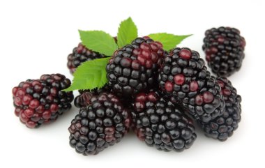 Juice blackberry clipart