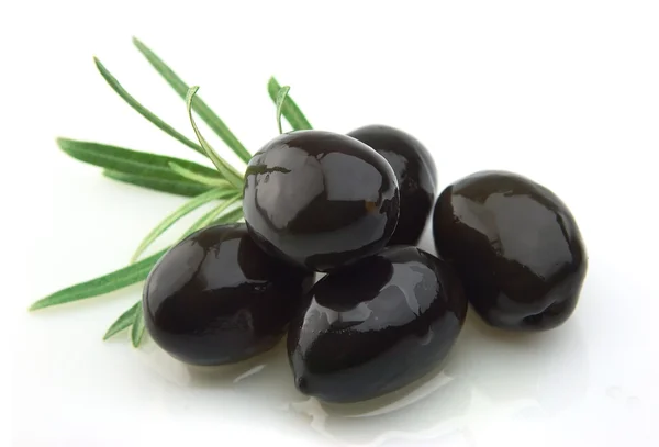 Olivová ratolest s olivovým olejem — Stock fotografie