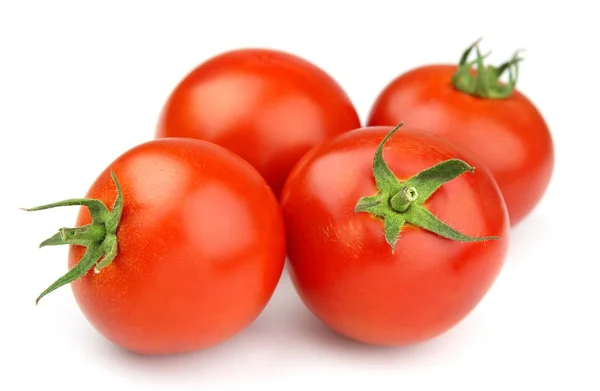 Słodkie pomidory — Zdjęcie stockowe