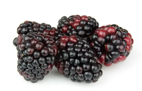 Söt blackberry — Stockfoto