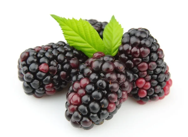 Sweet and juice blackberry — Stock Photo, Image