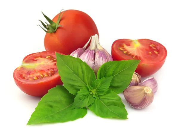 Tomatoes with spice — Stock Photo, Image