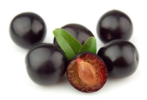 Sweet cherry švestky — Stock fotografie