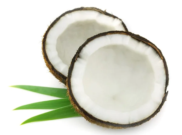 Coconut with leaves — Stock Photo, Image