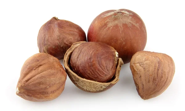 Sušené ořech ořechy — Stock fotografie