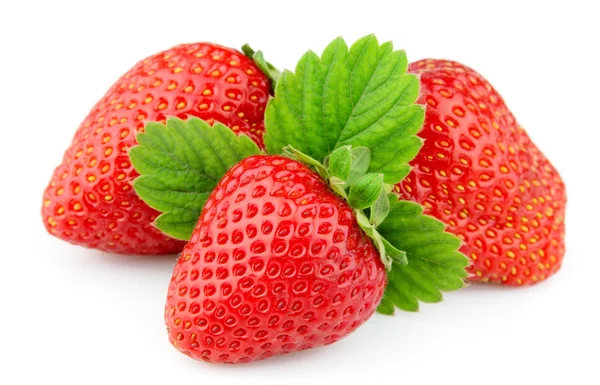 Strawberry with life — Stock Photo, Image