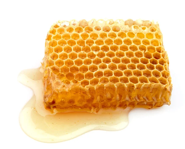 Miel nids d'abeilles — Photo