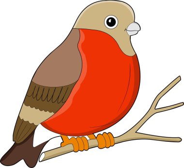 Vector illustration of the bird on white isolated background clipart