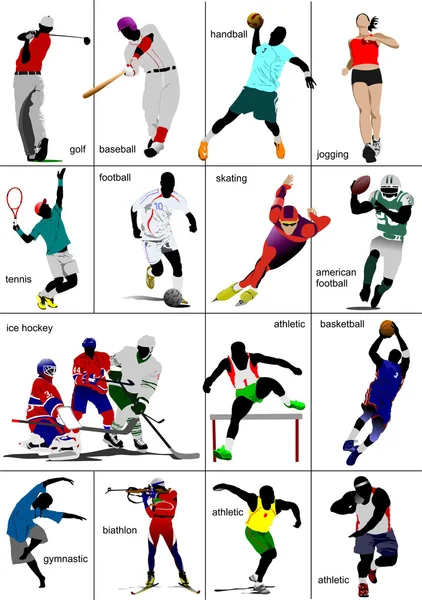 Некоторые виды спорта. Коллекция. Цветная векторная иллюстрация — стоковый вектор