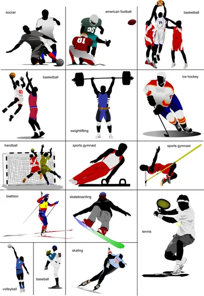 Některé druhy sportů. kolekce. Barevné vektorové ilustrace — Stockový vektor