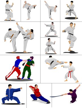 Oriental combat sports. The sportsman in a position. Wushu. Kung clipart