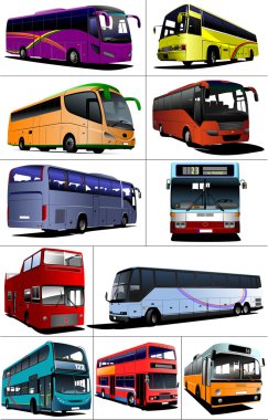 Eleven kinds of City buses. Tourist coach illustration f