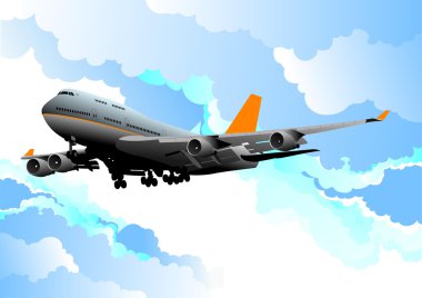 Passenger airplane. On the air illustration