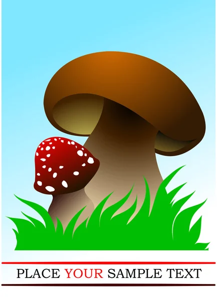 Два лесных гриба. Векторная иллюстрация — стоковый вектор