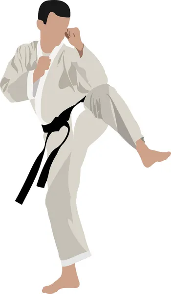 Siluetas de karate — Vector de stock