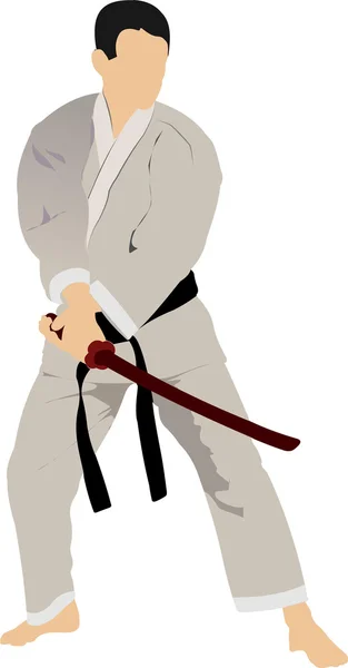 Karate silhouetten — Stockvector