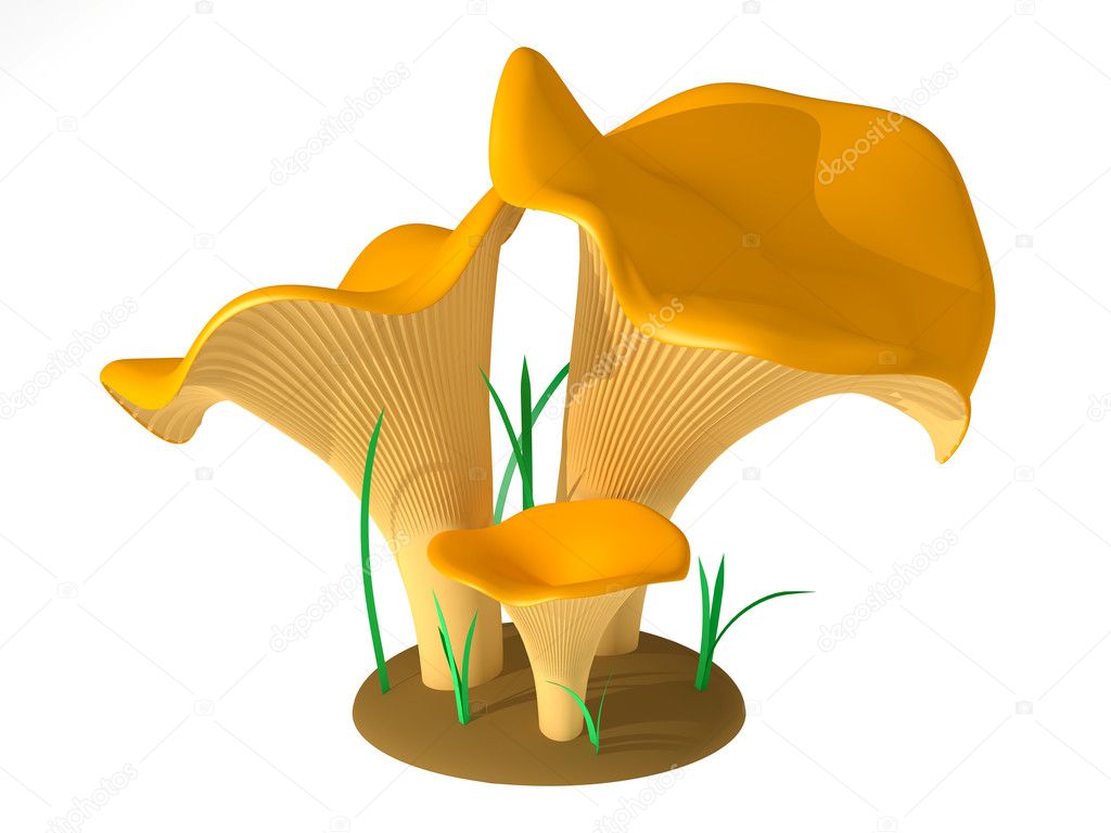 Chanterelle Stock Photo by ©a185ok 5458163