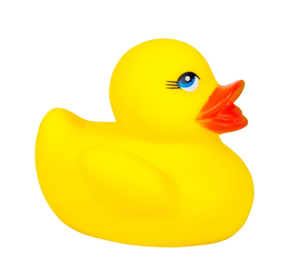 Klasik sarı banyo ördeği — Stok fotoğraf