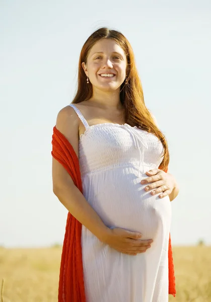 穀物のフィールドでの s の妊娠中の女性 — ストック写真