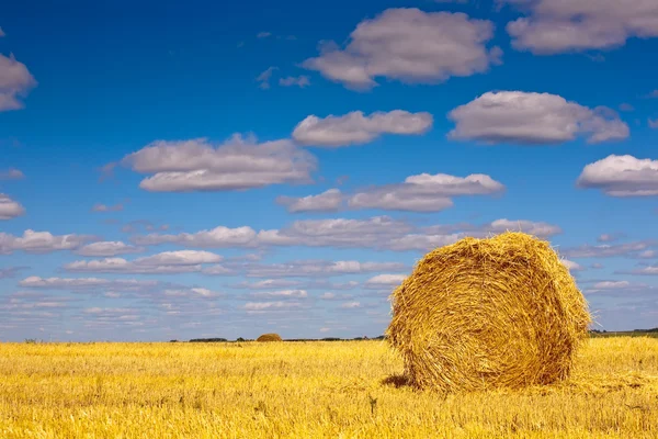 stock image Golden hay bale