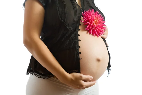 Κοιλιά της εγκύου με λουλούδι — Φωτογραφία Αρχείου