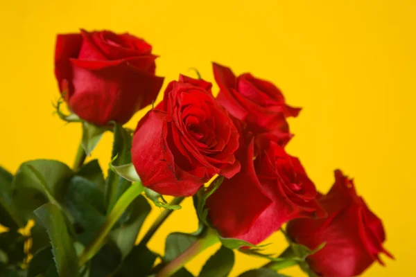 stock image Bouquet of scarlet roses