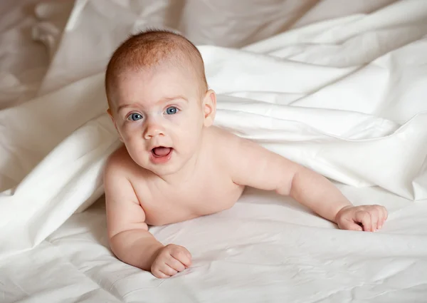 5 mesi bambina — Foto Stock