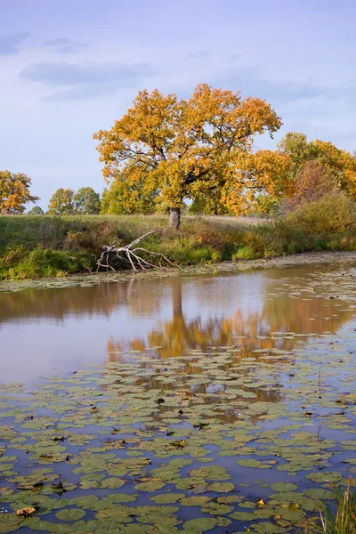 stock image Autumn landscape