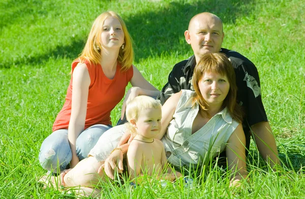 Сім'ї на траві — стокове фото