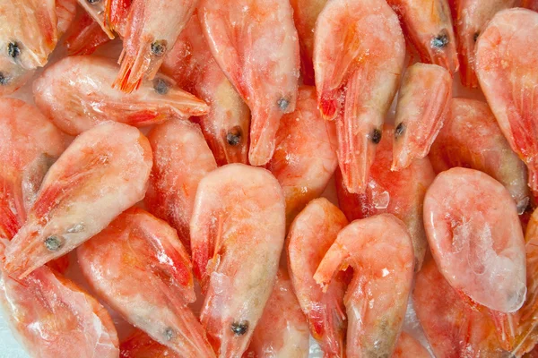 Fresh prawns — Stock Photo, Image