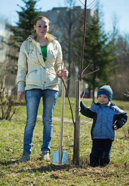 Moeder en zoon planten van boom — Stockfoto
