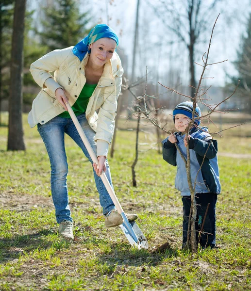 Matka a syn, výsadba stromu — Stock fotografie