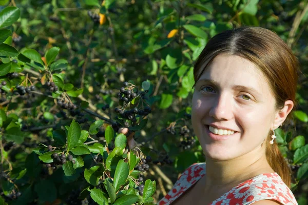 Chica recogiendo chokeberry en el campo —  Fotos de Stock